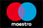 Maestro card logo